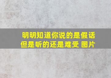 明明知道你说的是假话但是听的还是难受 图片